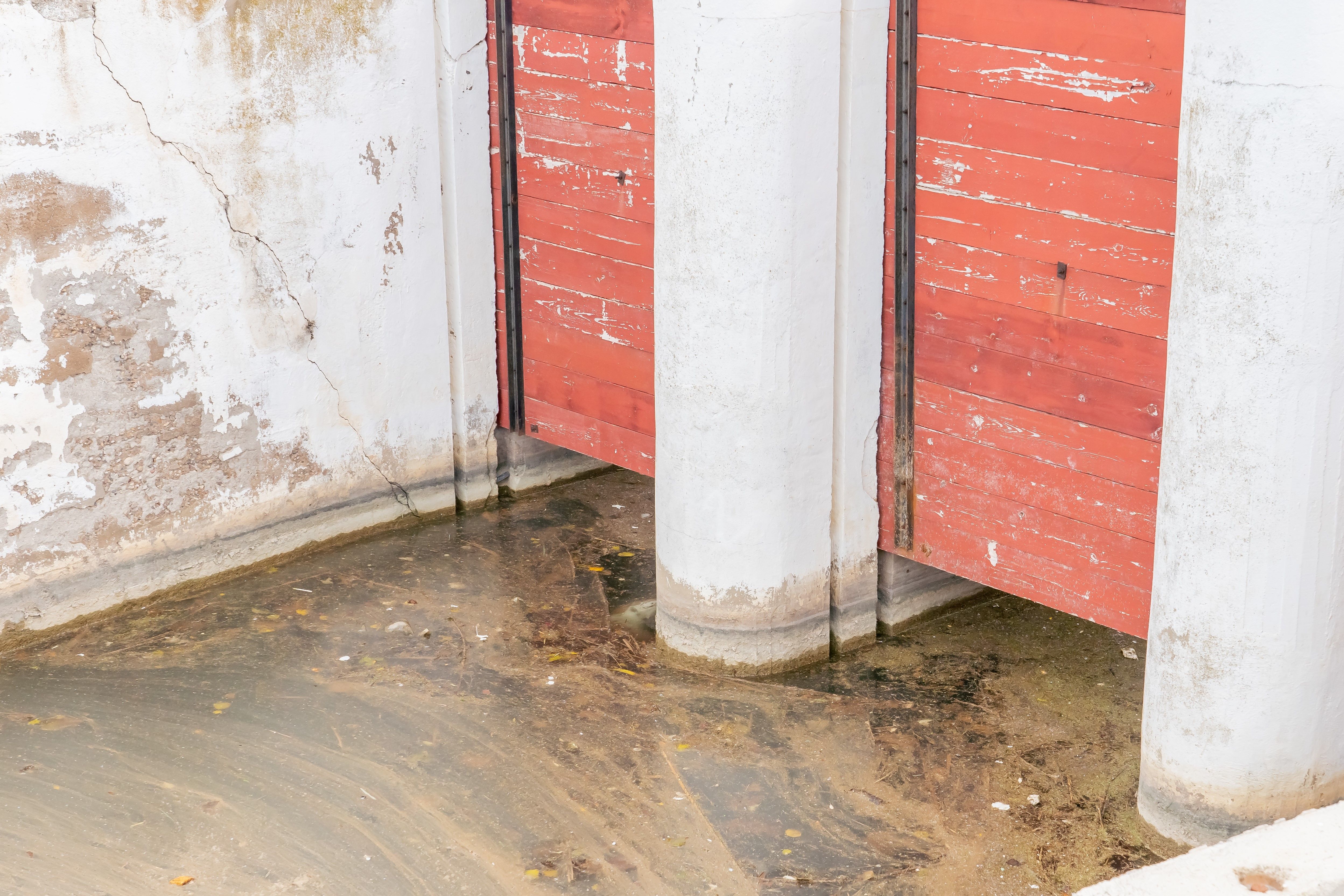 screw-conveyor-at-a-sewage-treatment-plant-2025-02-09-20-06-08-utc